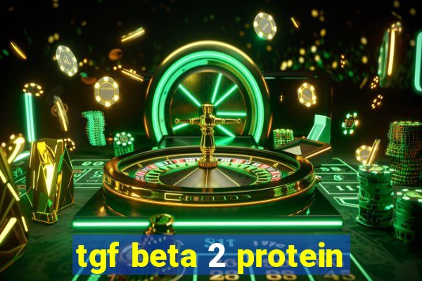 tgf beta 2 protein